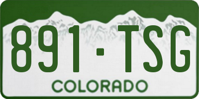 CO license plate 891TSG