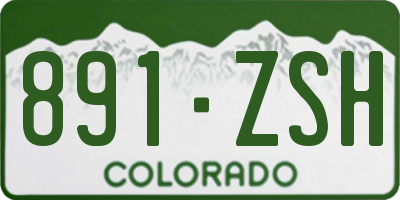 CO license plate 891ZSH