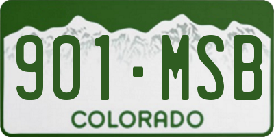 CO license plate 901MSB