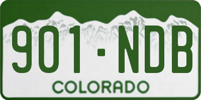 CO license plate 901NDB