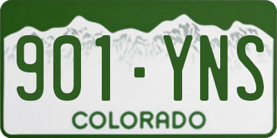 CO license plate 901YNS