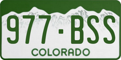 CO license plate 977BSS