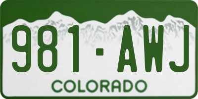 CO license plate 981AWJ
