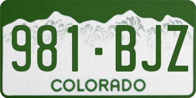 CO license plate 981BJZ