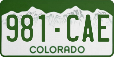CO license plate 981CAE