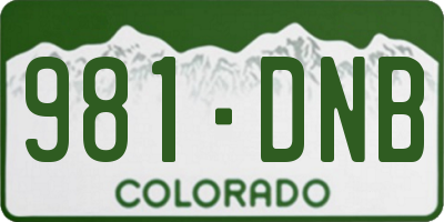 CO license plate 981DNB