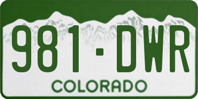 CO license plate 981DWR