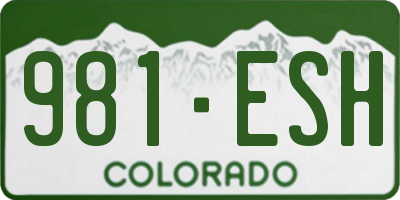 CO license plate 981ESH