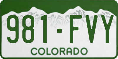 CO license plate 981FVY