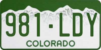 CO license plate 981LDY