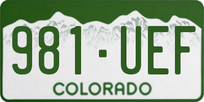 CO license plate 981UEF