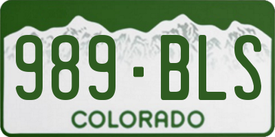 CO license plate 989BLS
