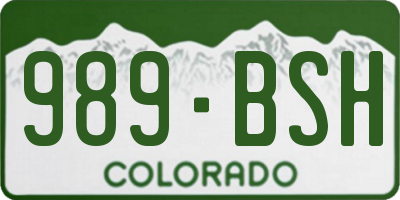 CO license plate 989BSH