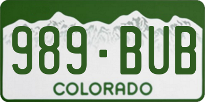 CO license plate 989BUB