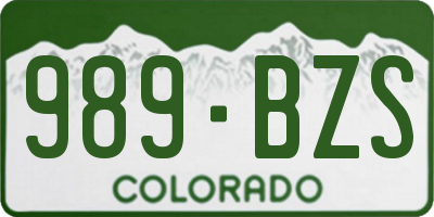 CO license plate 989BZS