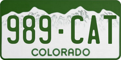 CO license plate 989CAT