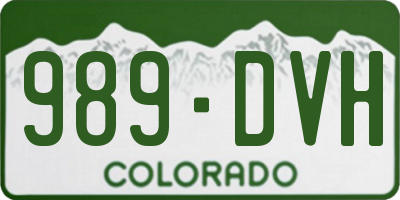 CO license plate 989DVH