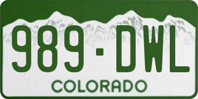 CO license plate 989DWL