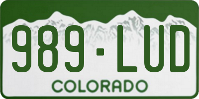CO license plate 989LUD