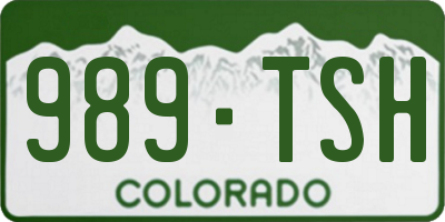 CO license plate 989TSH