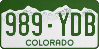 CO license plate 989YDB