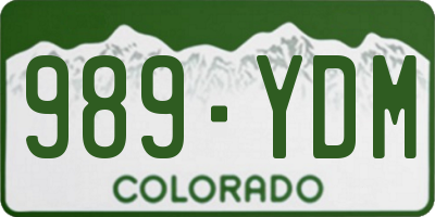 CO license plate 989YDM