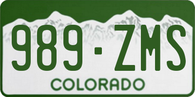 CO license plate 989ZMS