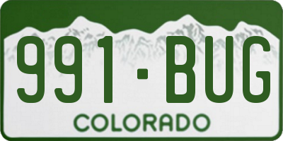 CO license plate 991BUG