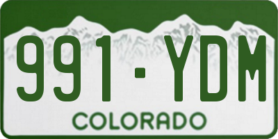 CO license plate 991YDM