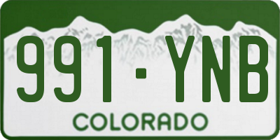 CO license plate 991YNB