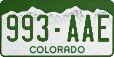 CO license plate 993AAE