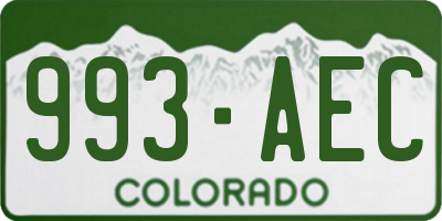 CO license plate 993AEC