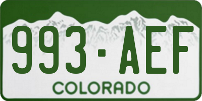 CO license plate 993AEF