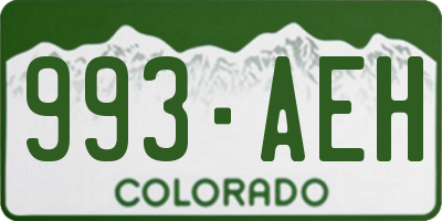 CO license plate 993AEH