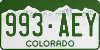 CO license plate 993AEY