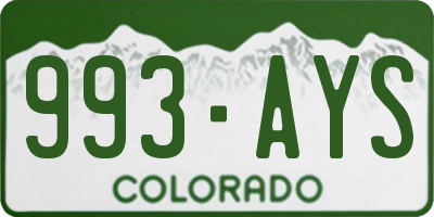 CO license plate 993AYS