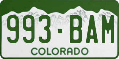 CO license plate 993BAM