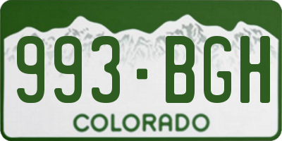 CO license plate 993BGH
