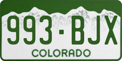 CO license plate 993BJX