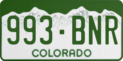 CO license plate 993BNR