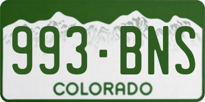 CO license plate 993BNS