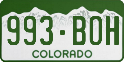 CO license plate 993BOH