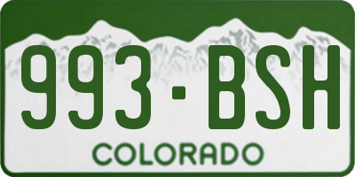 CO license plate 993BSH