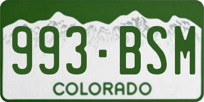 CO license plate 993BSM