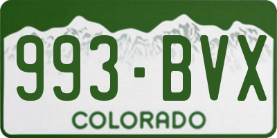 CO license plate 993BVX
