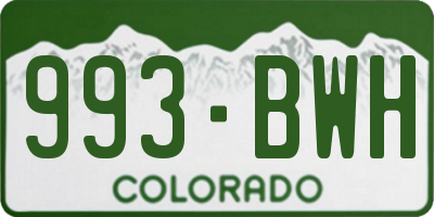 CO license plate 993BWH
