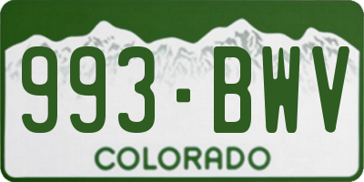 CO license plate 993BWV