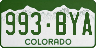 CO license plate 993BYA