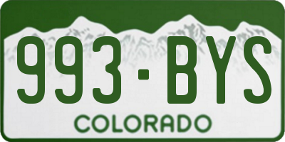 CO license plate 993BYS