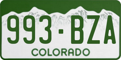 CO license plate 993BZA